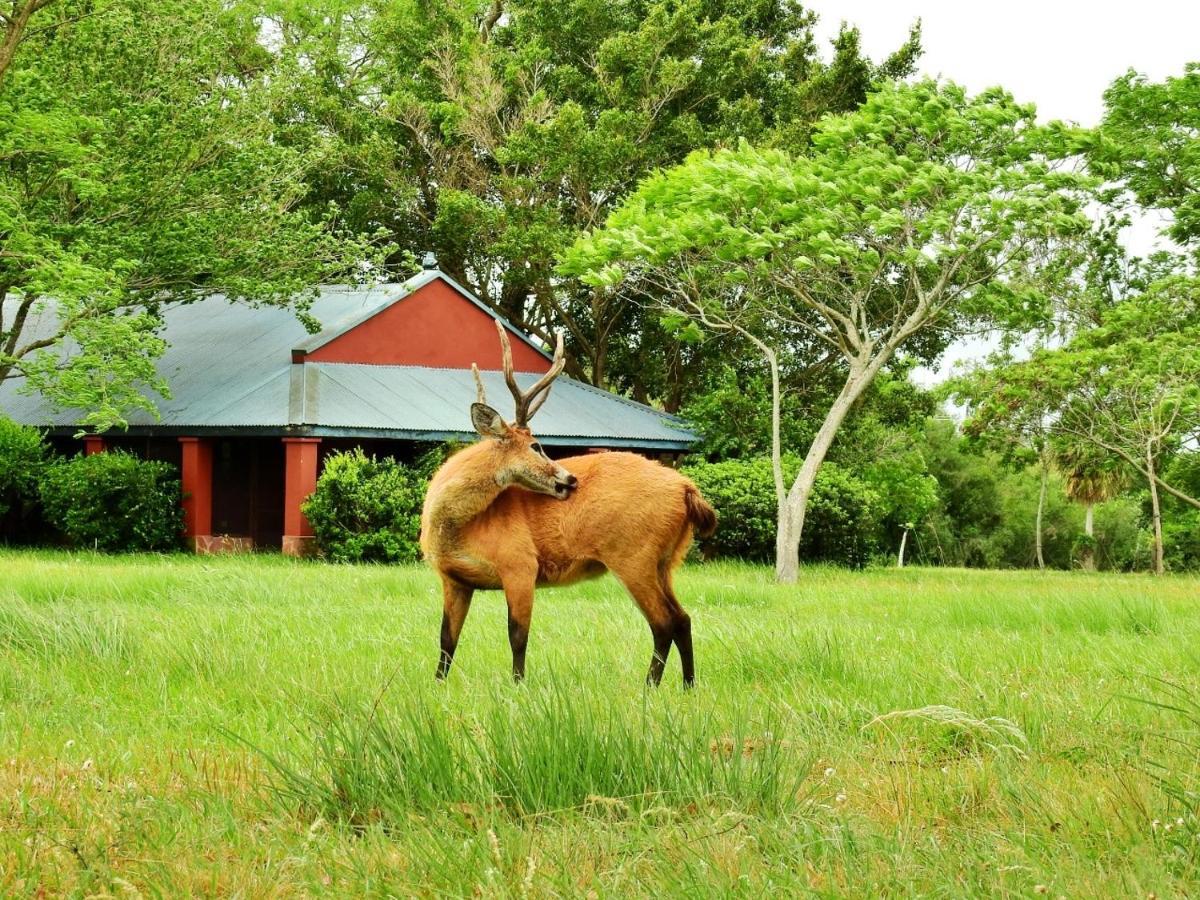 Estancia Iberá Colonia Carlos Pellegrini  Esterno foto
